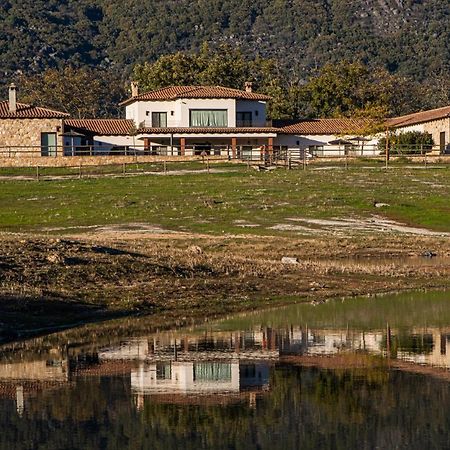 Casa Rural Los Tres Lugares 圣马尔廷德特雷韦霍 外观 照片